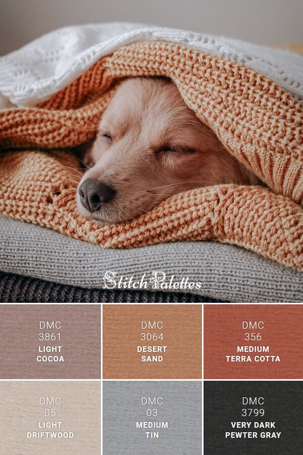 a dog sleeping under a blanket on top of a bed with the colors in it