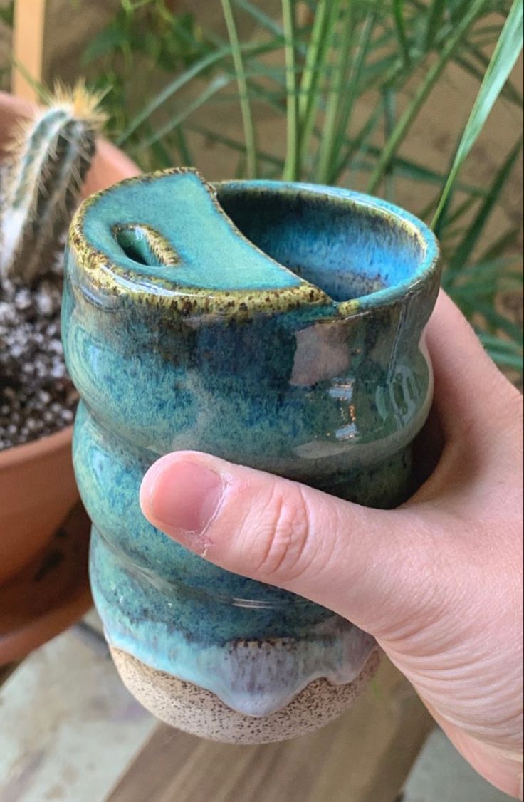 a hand holding a small potted cactus in it's left hand next to a succulent plant