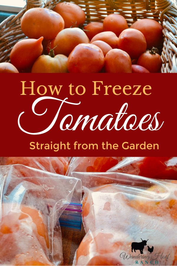 how to freeze tomatoes straight from the garden and use them for salads or sandwiches