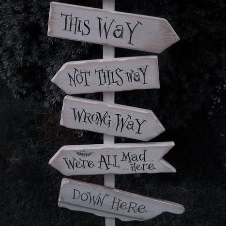 wooden signs with words written on them pointing in different directions and sayings that say, wonderland tea party here, this way, not this way, wrong way, we're