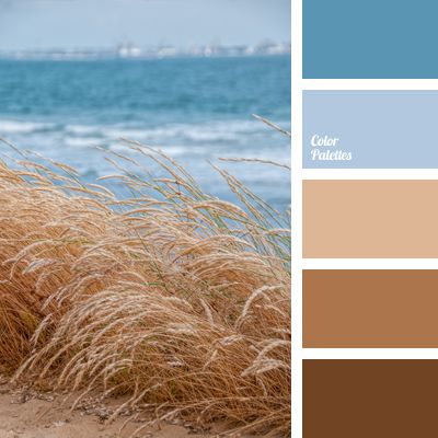 the color scheme is blue, brown and white with sea oats in it's foreground