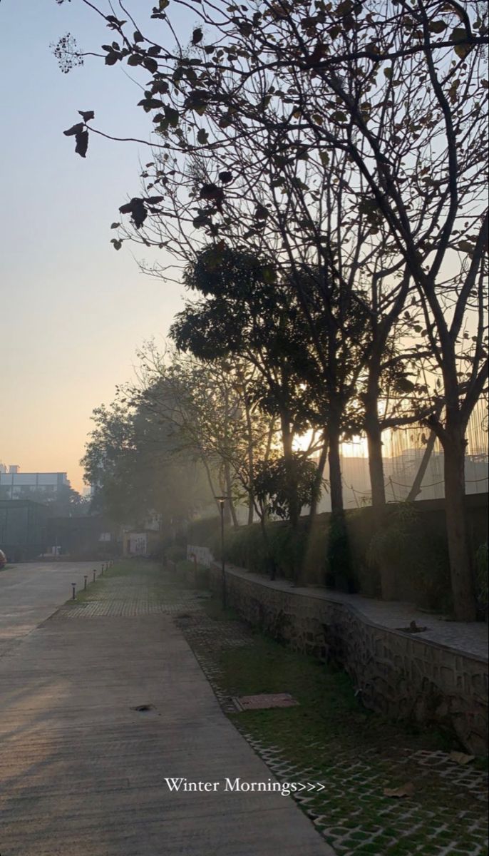 the sun is setting behind some trees and bushes on the sidewalk in front of an apartment building