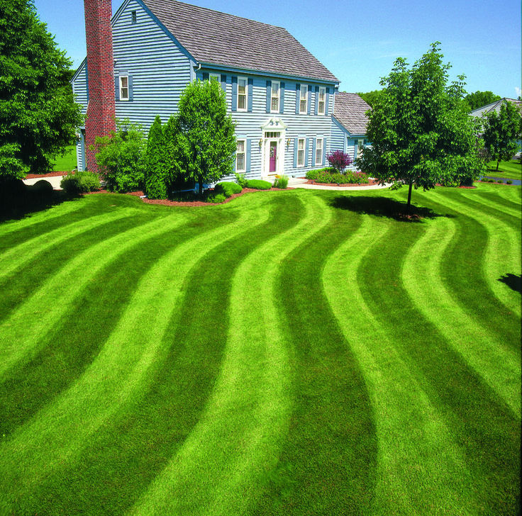 a blue house with green grass in front