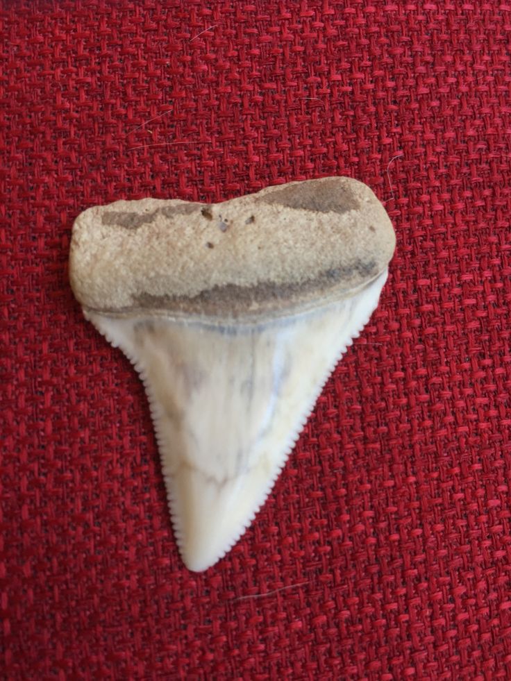 a piece of marble sitting on top of a red cloth