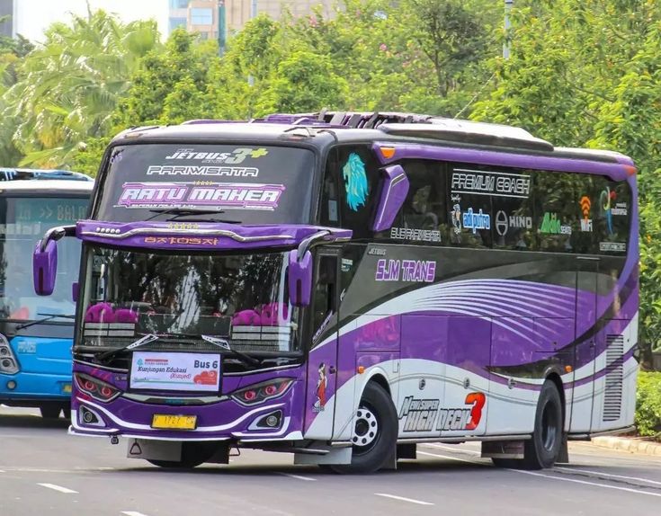 a purple and white bus driving down a street next to another blue bus on the road