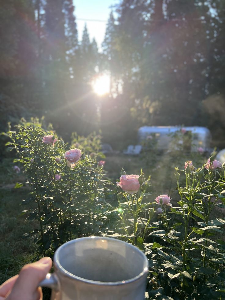 the sun shines brightly through the trees and flowers in front of a coffee cup