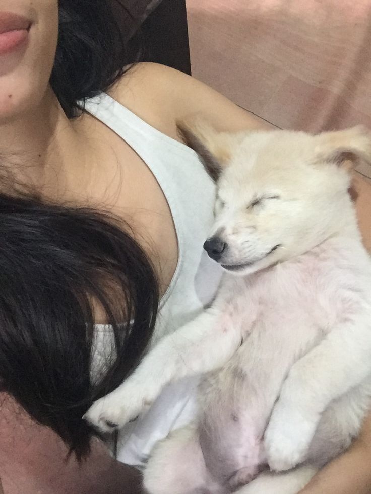 a woman holding a small white dog in her arms