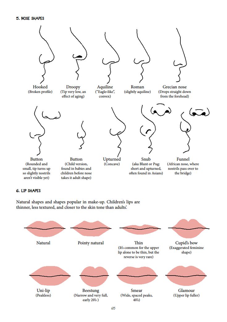 nose and lip shapes Skin Types Chart, Nose Types, Shape Chart, 얼굴 그리기, Nose Shapes, Lip Shapes, Nose Job, Book Writing Tips, Fall Hair Color