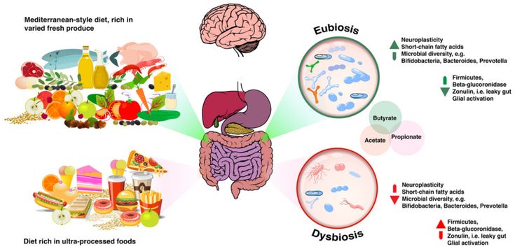 The Microbiota-Gut-Brain Axis: What, Why, and How to Maintain Gut and Brain Health Gut Brain Axis, Leaky Gut Diet, Animal Studies, Infographic Inspiration, Gut Brain, Gut Microbiota, The Human Brain, Animal Study, Assessment Tools