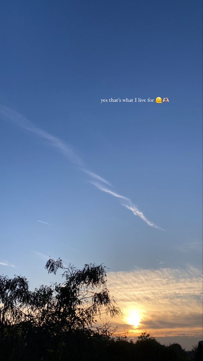 the sun is setting behind some trees and clouds in the sky, with an airplane flying overhead