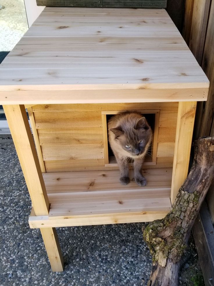 a cat sitting in a small wooden house