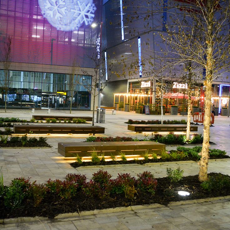 a city plaza with benches and trees lit up at night