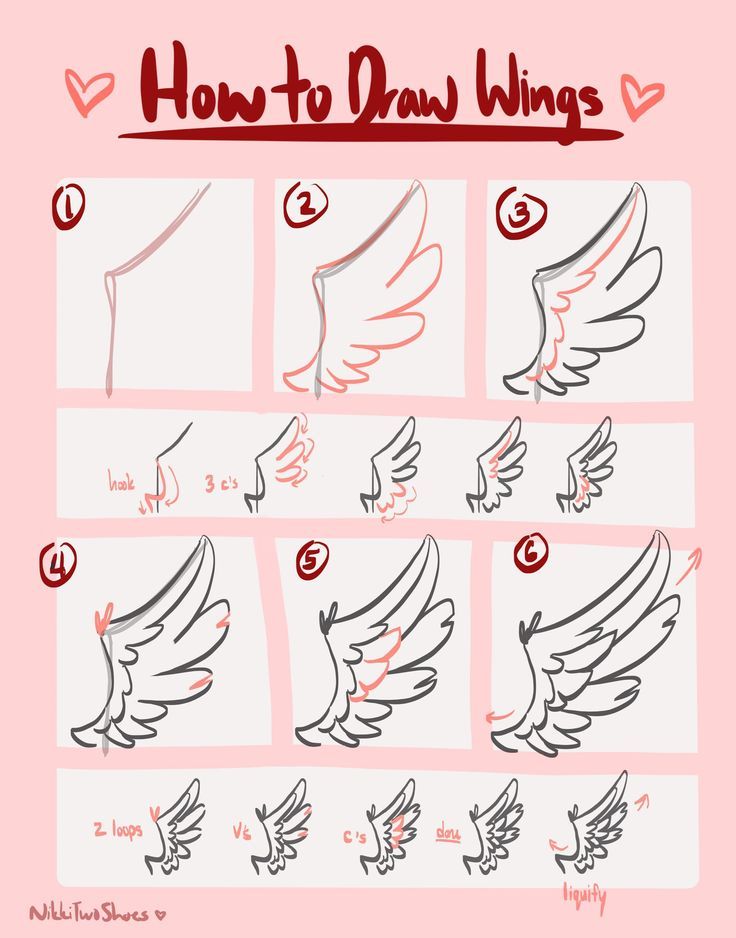 how to draw wings for beginners with step - by - step instructions on how to draw