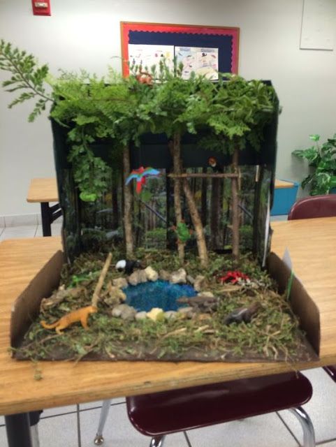 an open cardboard box filled with plants and rocks in the middle of a classroom table