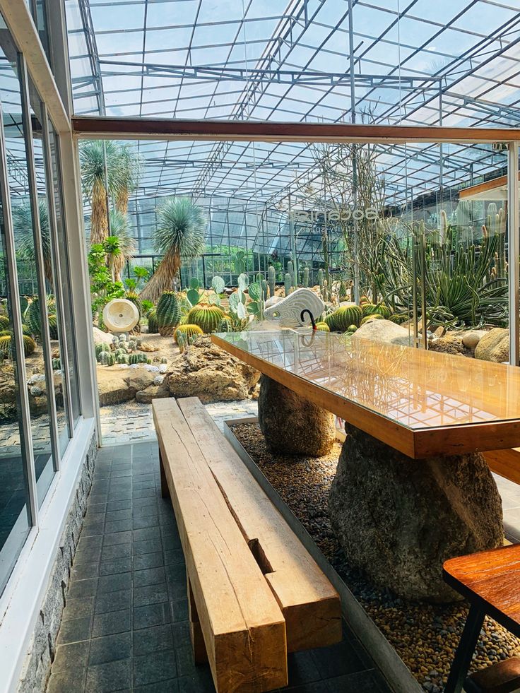 a wooden bench sitting under a glass roof next to a table and some cactus plants