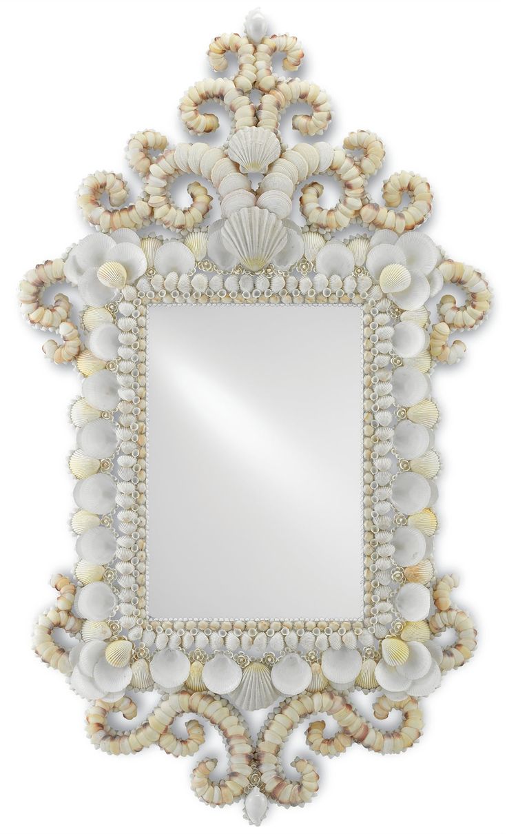 a mirror that has shells on it and is hanging from the wall with an ornate frame