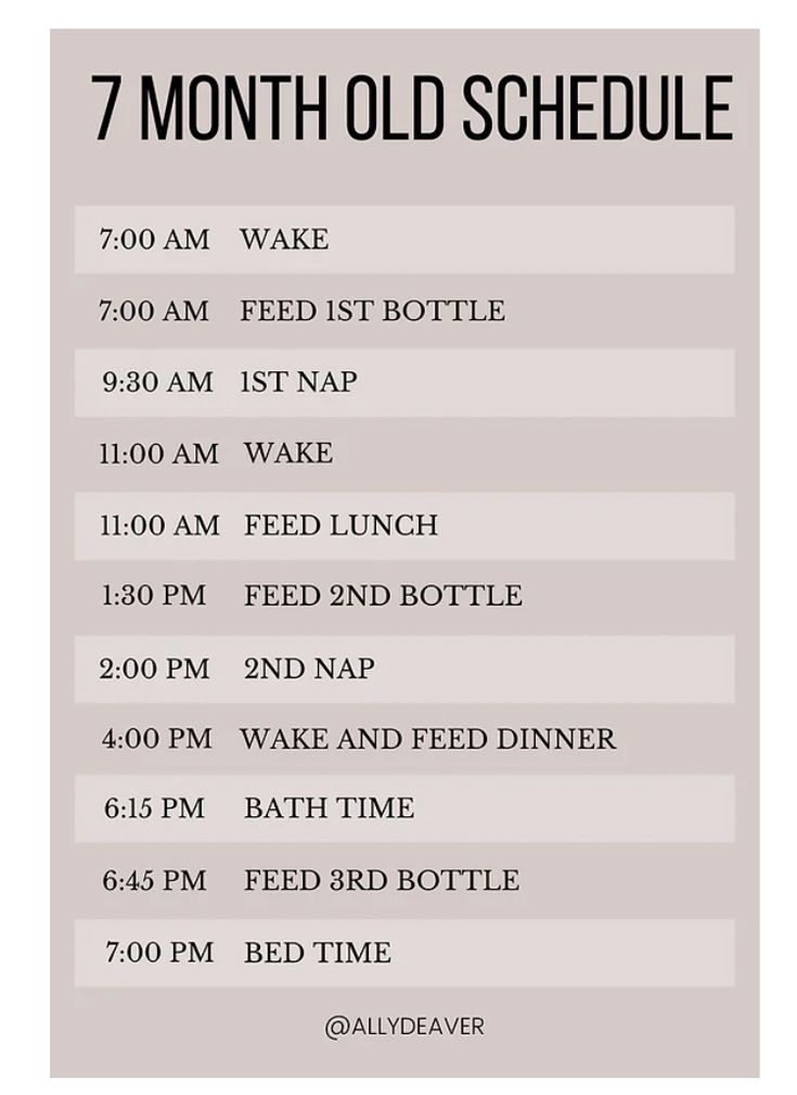 the 7 month old schedule is shown in black and white, with dates for each event