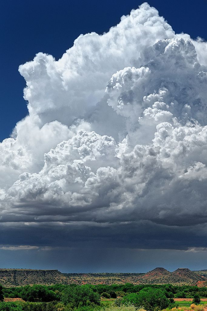 a large cloud is in the sky above some trees and grass on a sunny day