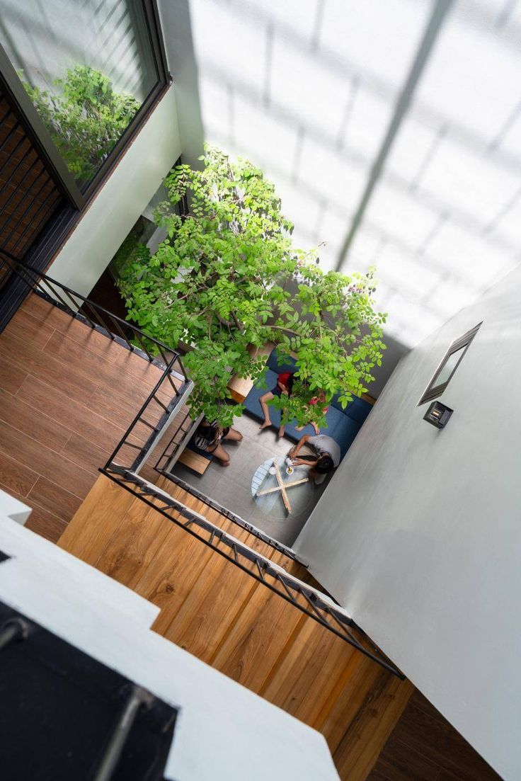 an overhead view of a living room with wood floors and plants in the corner, looking down