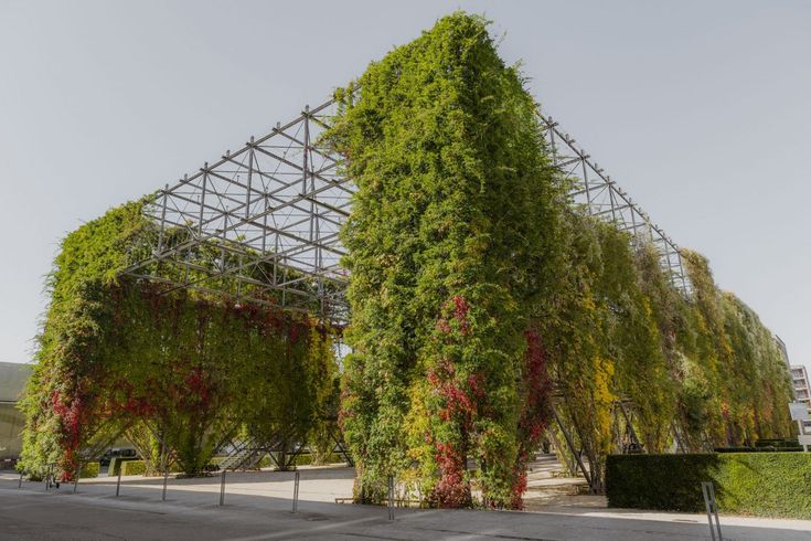 an outdoor structure covered in vines and flowers