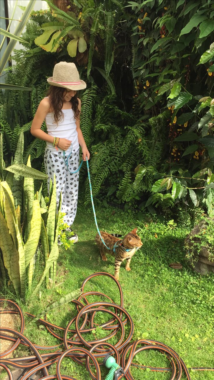 a woman with a cat on a leash in the grass next to some hoses