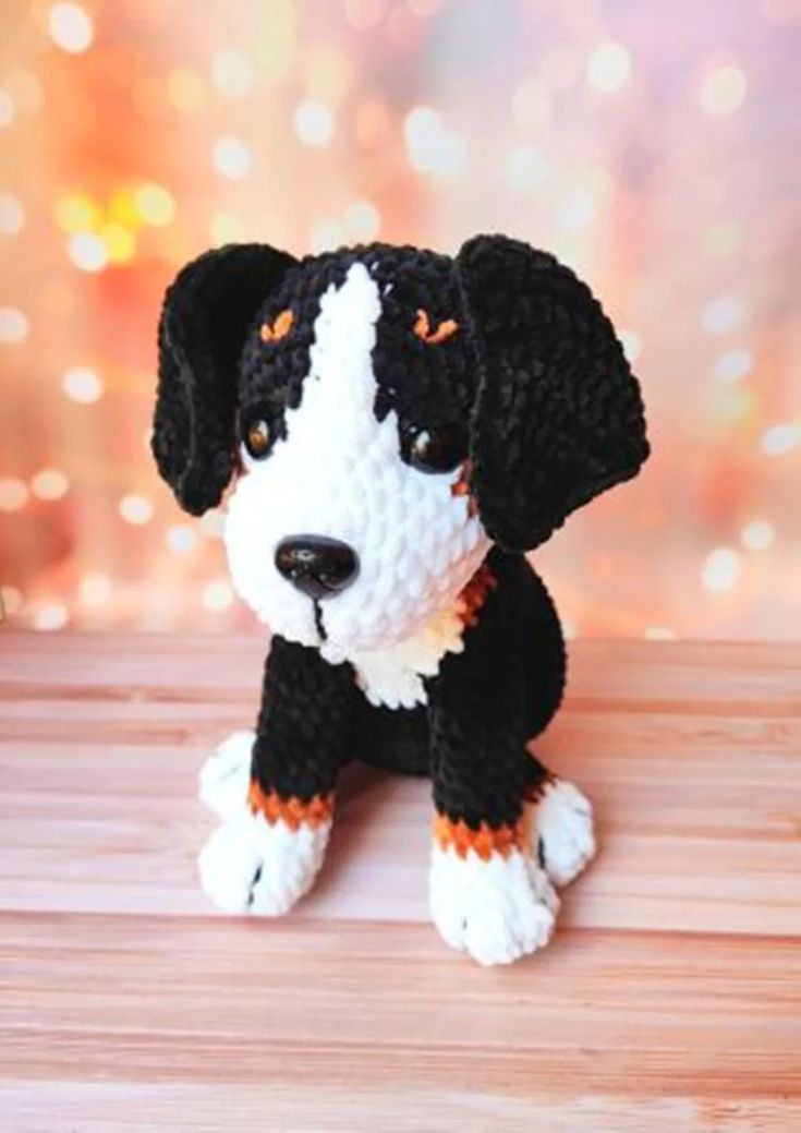 a small black and white dog sitting on top of a wooden table