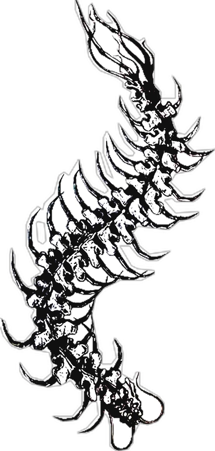 a black and white image of a skeleton with large teeth on it's back