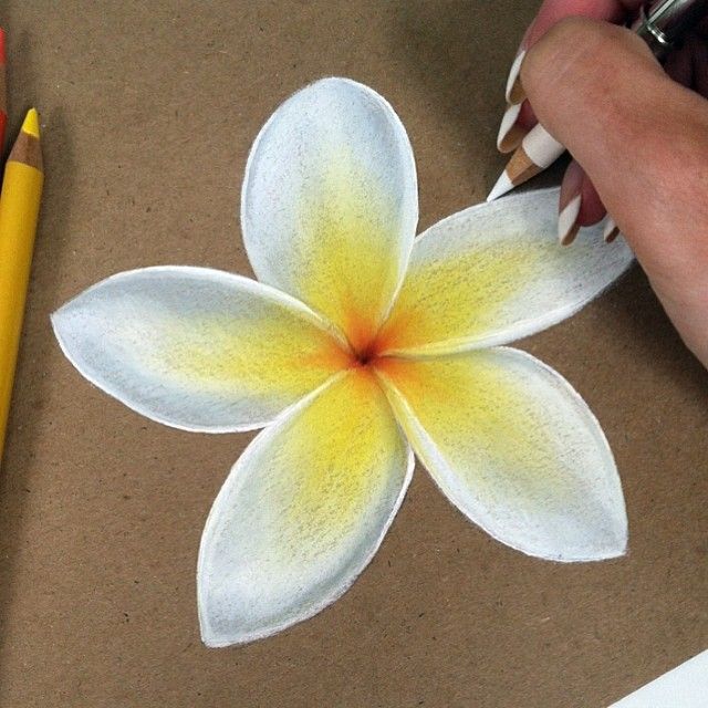 someone is drawing a flower with colored pencils