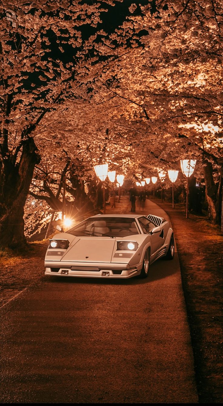 a car parked on the side of a road next to trees with lights in them