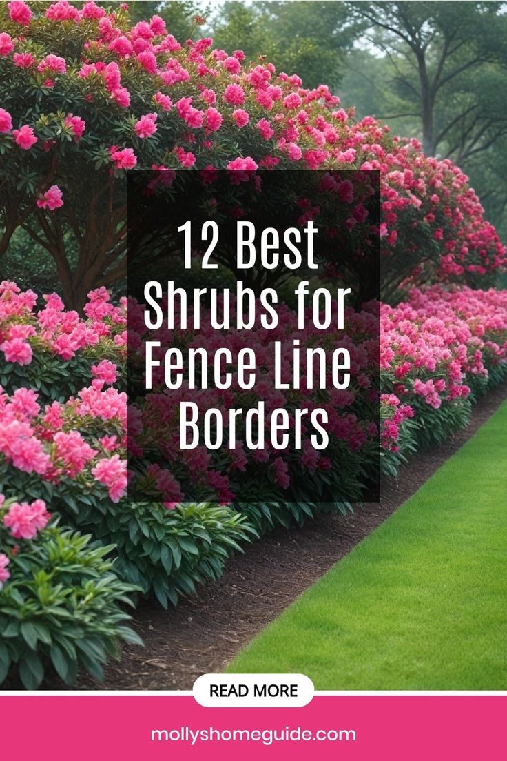 pink flowers line the side of a garden with text overlay that reads, 12 best shrubs for fence line borders