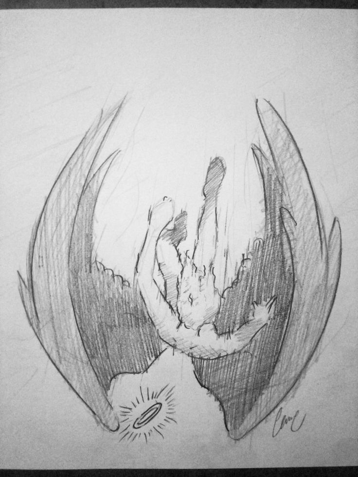 a pencil drawing of a bird with wings