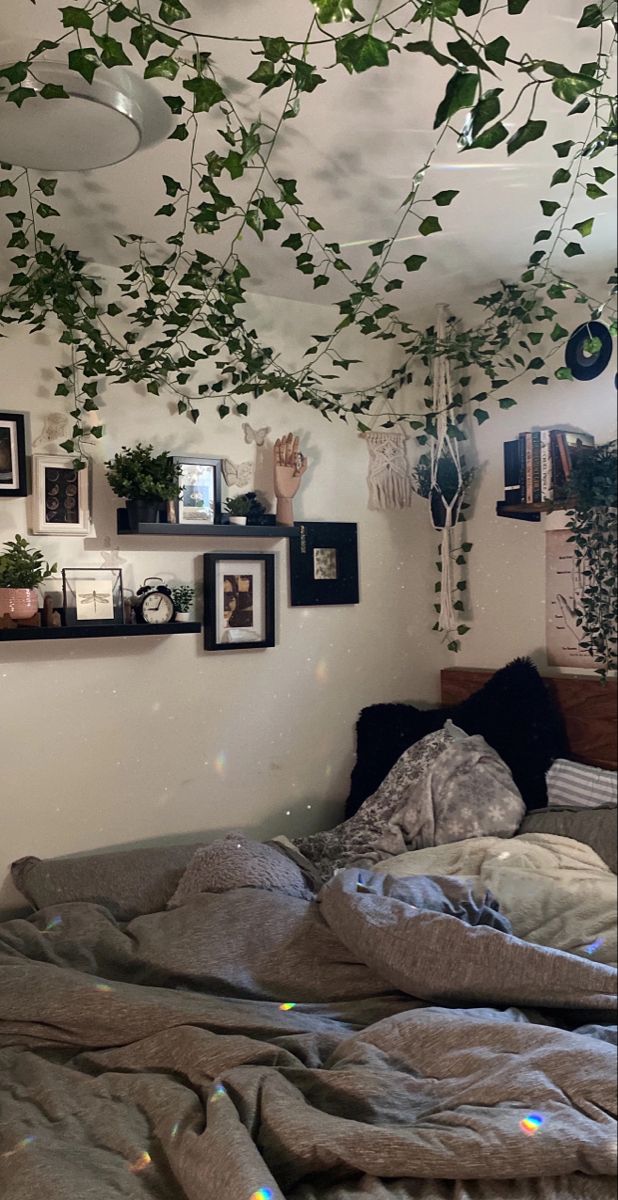 an unmade bed with lots of plants hanging from the ceiling and pictures on the wall