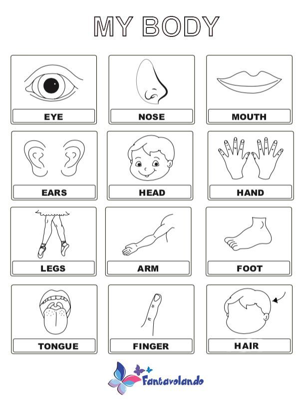 the body worksheet for children to learn how to read and understand their body