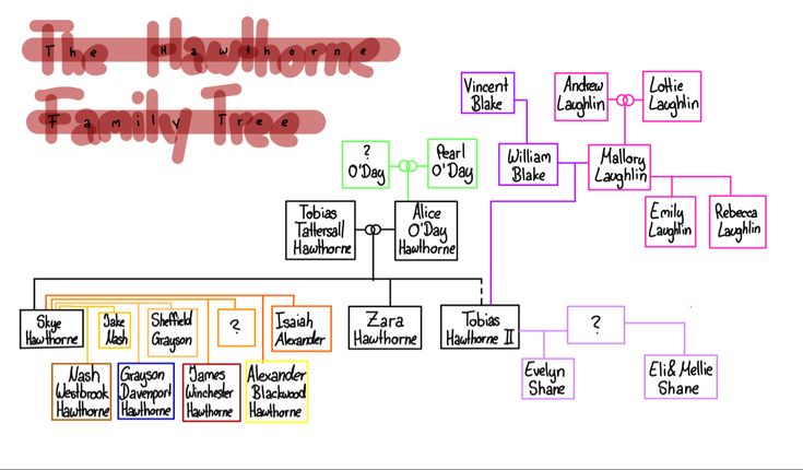 a family tree is shown with the names and numbers