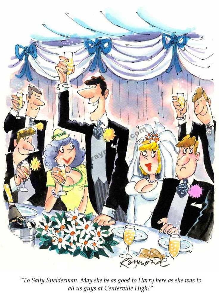 an image of a wedding party with bride and grooms toasting at the table