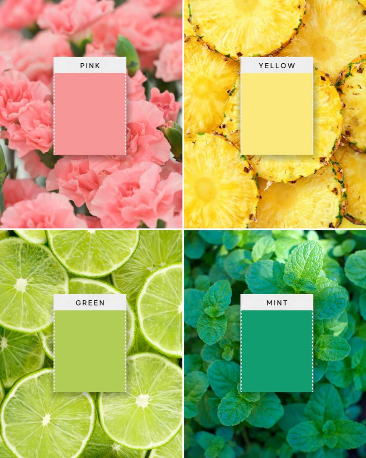 four different shades of green, pink and yellow with flowers in the middle one has lemons on each side