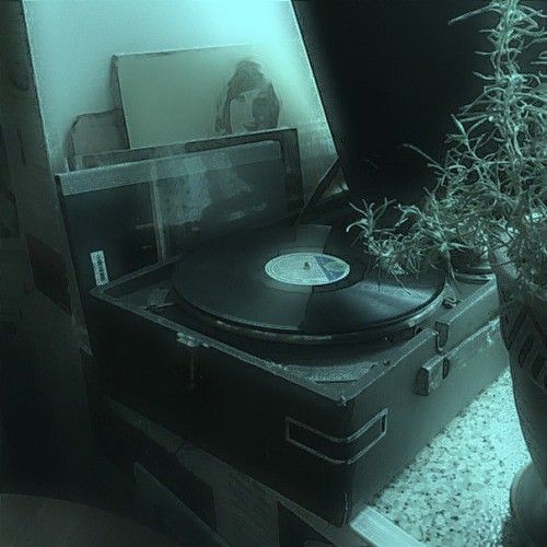 an old record player sitting on top of a suitcase next to a potted plant