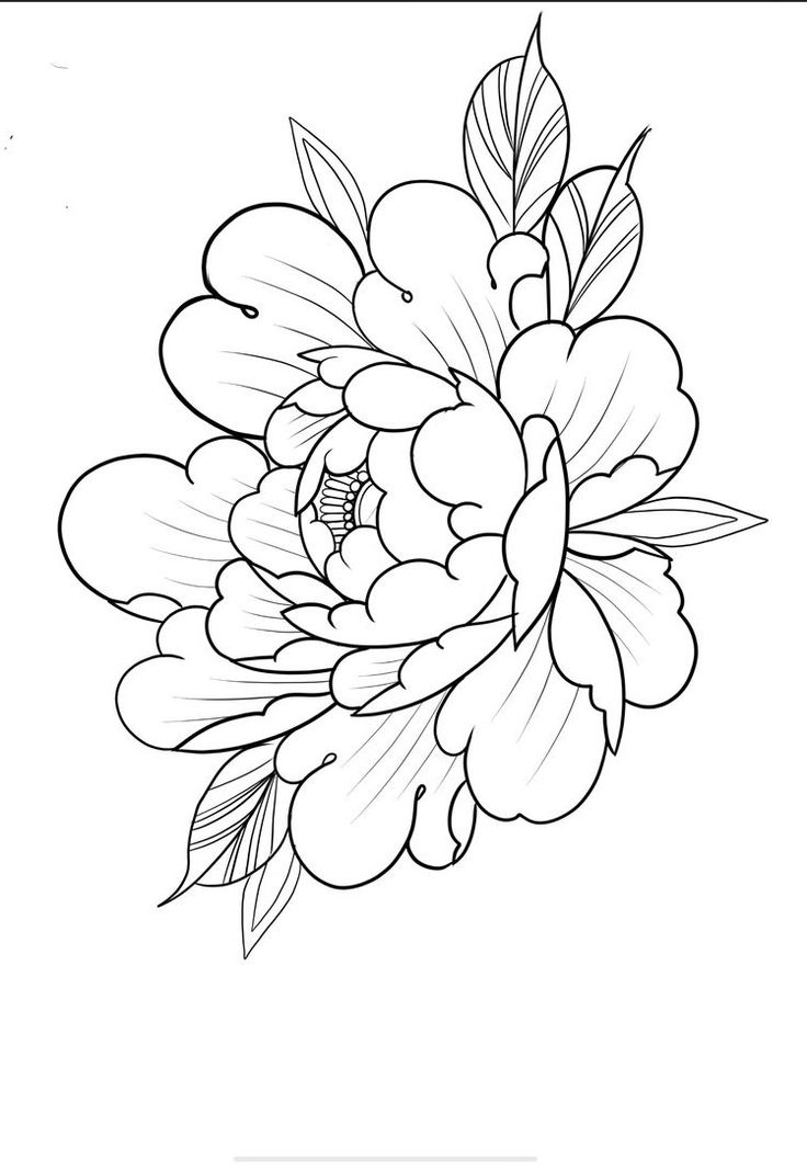 a black and white drawing of a flower