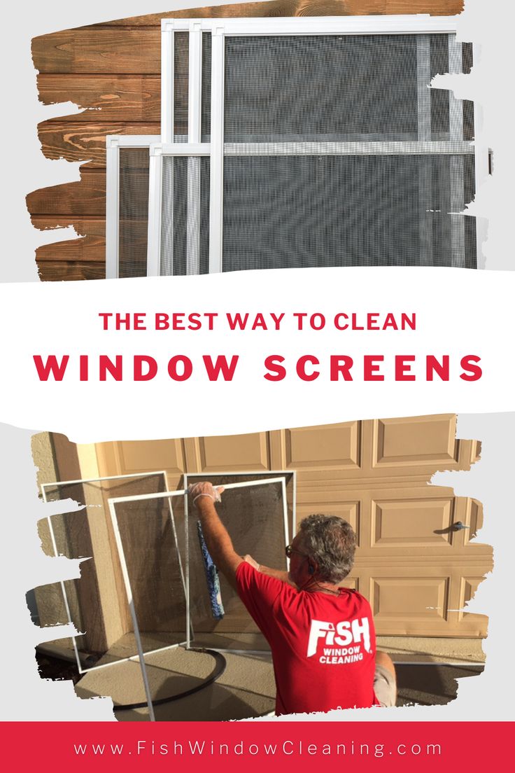 the best way to clean window screens is with this handy guide for cleaning windows and doors