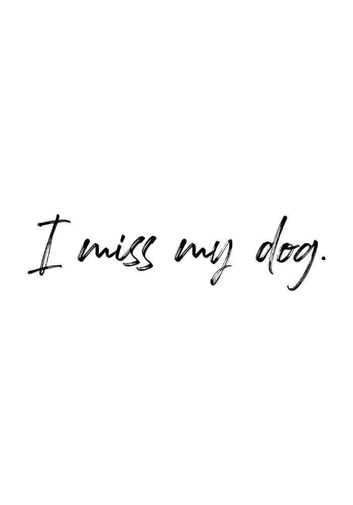 the words i miss my dog written in black ink