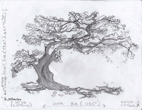 a drawing of a tree with lots of leaves and branches on the top of it