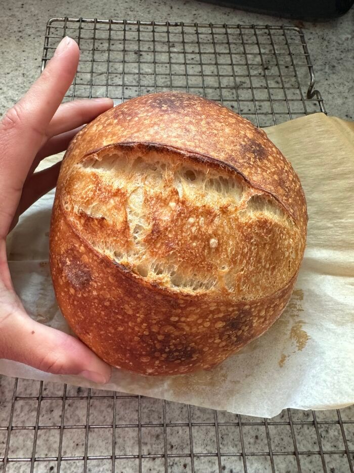 a person holding a loaf of bread in their hand