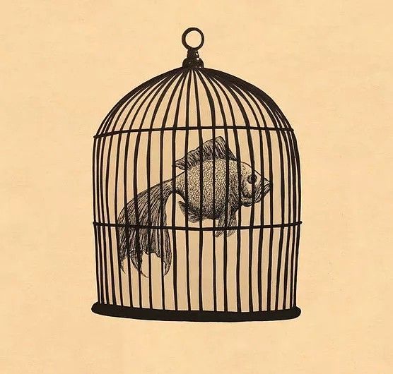 a drawing of a fish in a cage hanging from a hook on a beige wall