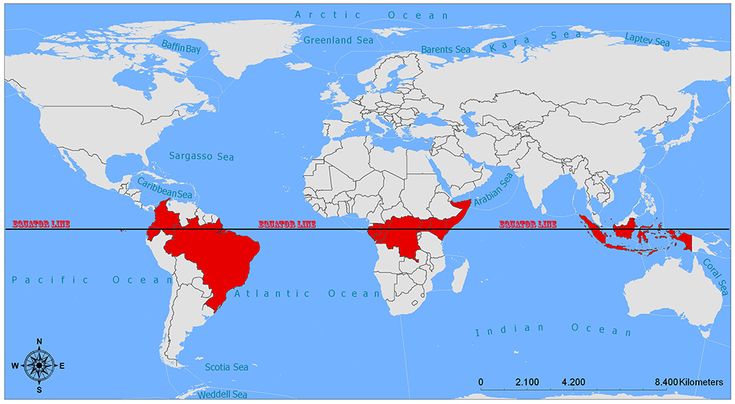 a world map with the countries marked in red