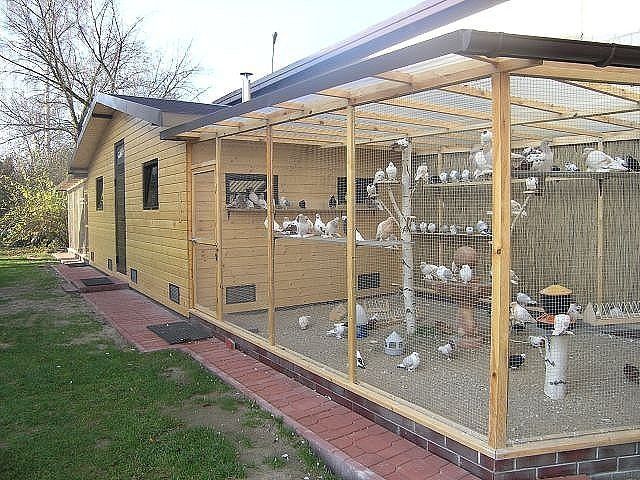 a wooden structure with many birds in it and on top of the building is a chicken coop