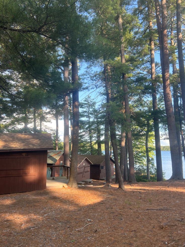 summer camp cabins bunks aesthetic Camp Site Aesthetic, Camping Cabin Aesthetic, Summer Camp Cafeteria, Wildfire Hannah Grace Aesthetic, Woods Camping Aesthetic, Camp Cabin Aesthetic, Camp Councilor Aesthetic, Summer Camp Cabins, Vintage Summer Camp Aesthetic