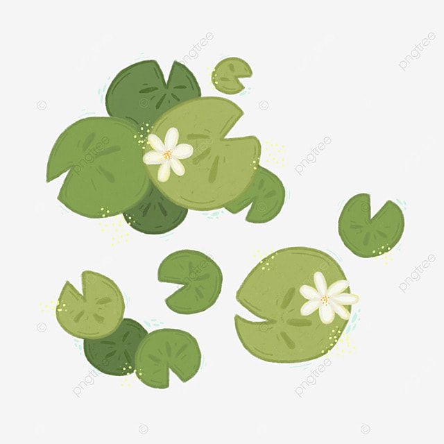 some green leaves and flowers on a white background, illustration, cartoon png and psd