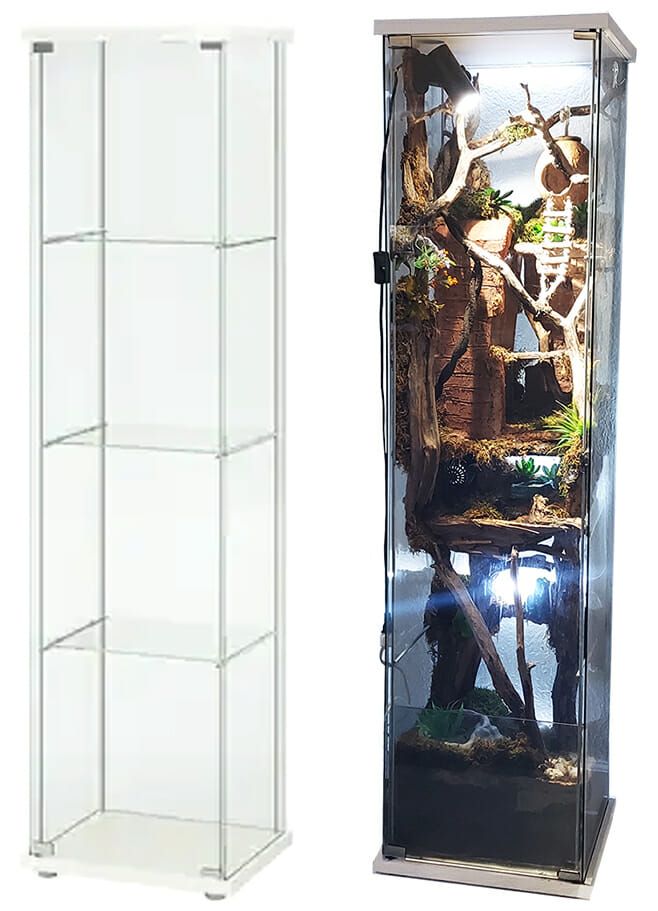 a tall glass display case next to an aquarium