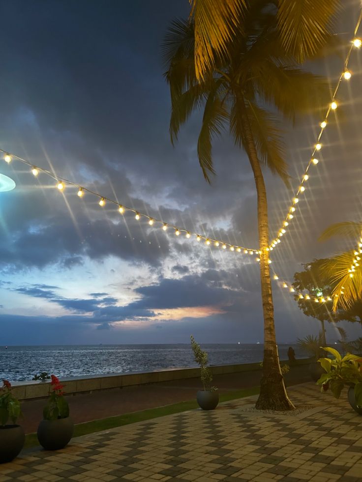 a palm tree sitting on top of a lush green field next to the ocean at night