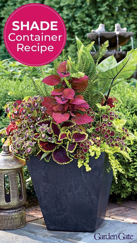 a potted planter with purple flowers and green leaves on the ground next to a lantern